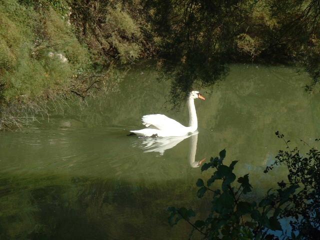 Villeneuve-des-Salines